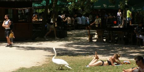 Nacionalni park Krka