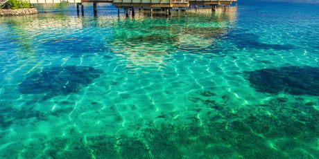 Maldivi