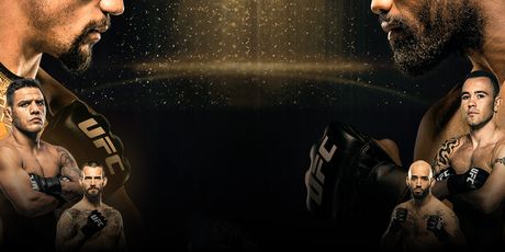 UFC 225