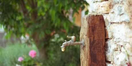 U dvorištu kuće možete popiti prvu jutarnju kavu