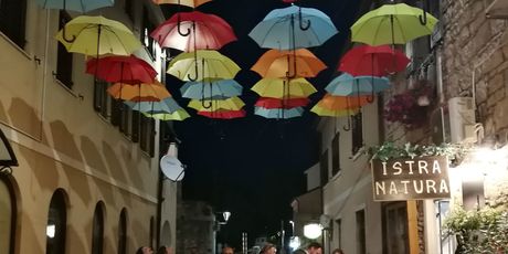 Priča iz Novigrada - 22