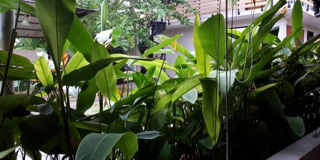 Spr restoran, Mysore