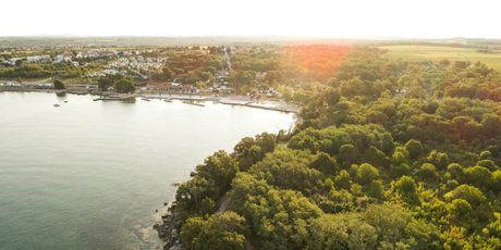 Novigrad