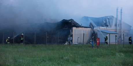 Požar na PIK-ovoj farmi u Andrijaševcima (Foto: Pixell)