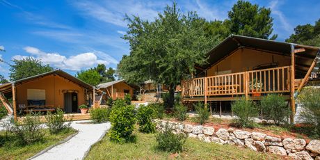 Arena One 99 Glamping resort - 11