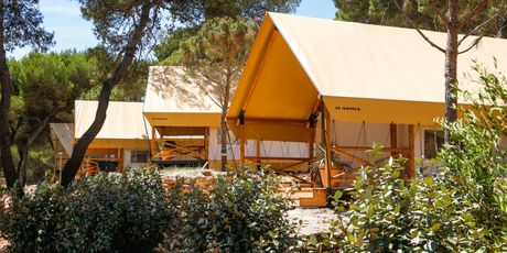 Arena One 99 Glamping resort - 13