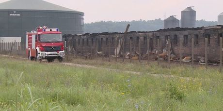 Izgorjela Agrokorova farma (Foto: Dnevnik.hr) - 1