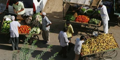 Jaisalmer