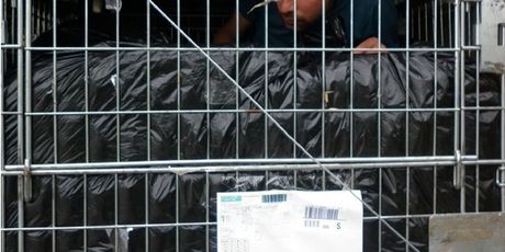 Migranti uhvaćeni na srpskoj granici (Foto: Upraca carine RS) - 1