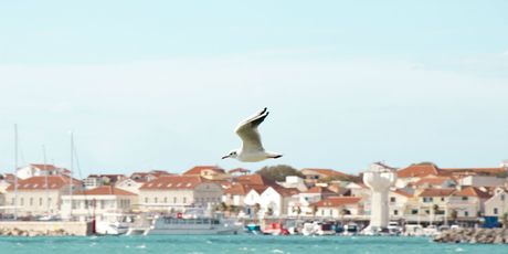 Vodice - 1