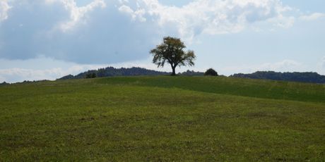 Zrinska gora
