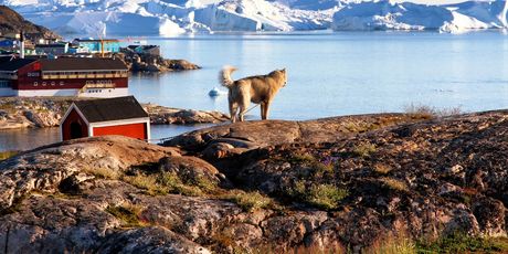 Grenland - 3