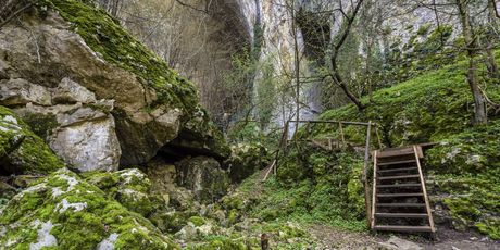 Bugarska