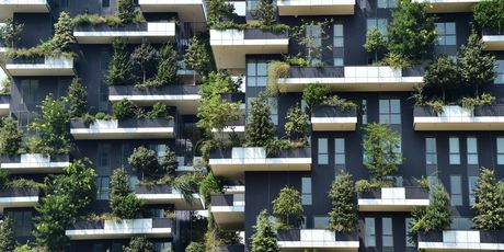 Bosco Verticale, zgrada u Milanu (Foto: AFP)