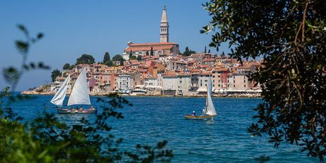 Rovinjska regata - 15