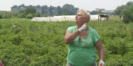 Žena se šprica sprejem protiv komaraca (Foto: Dnevnik.hr)