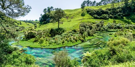 Novi Zeland - 4