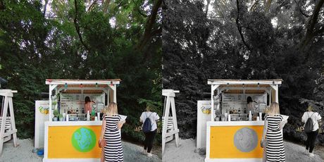 Art Park Ribnjak