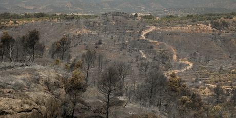 Požar, Ilustracija (Foto: PAU BARRENA / AFP)