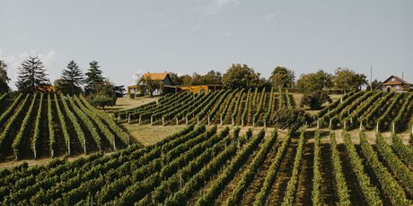 Ivanić-Grad destinacija - 1