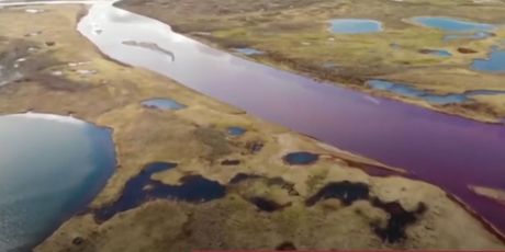 Ekološka katastrofa u rusiji - 3