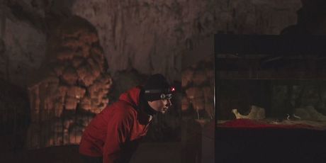 Čovječja ribica u Parku Postojnska jama - 1