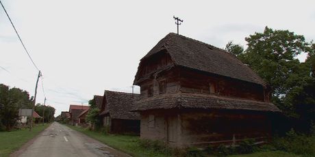 Lonjsko polje