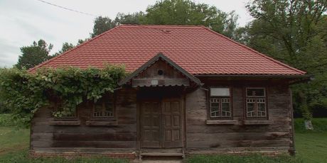 Lonjsko polje