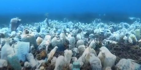 Molunat: Akcija čišćenja mora - 4