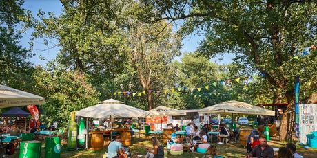 Food Truck Festival - 1