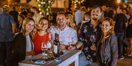 Vinski grad - 4