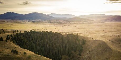 Japage, Kupreško polje - 1