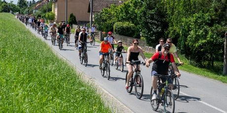 Desno Trebarjevo - 1