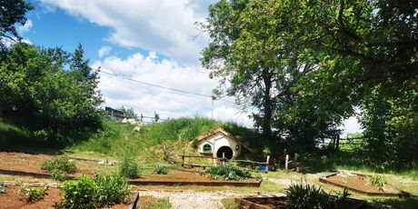 Pećinski park Grabovača - 1