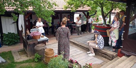 PIKNIKA - 3