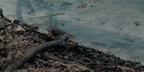 Ostaci izgorenih jahti i dalje u kaštelanskom moru - 2