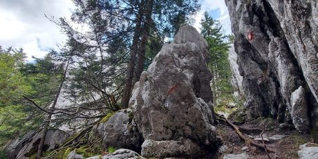 Dunja na Vihoraškom putu