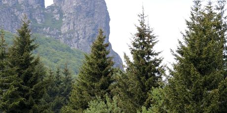 Highlander Stara planina - 29