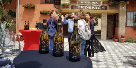 Festival vina - 1