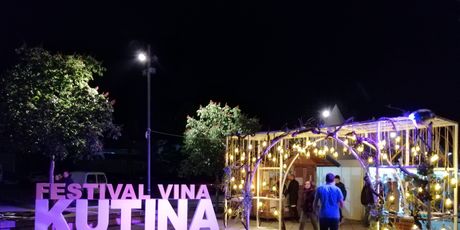 Festival vina - 4