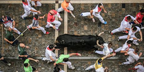 Pamplona