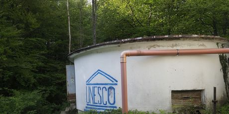 Rastovača - 16