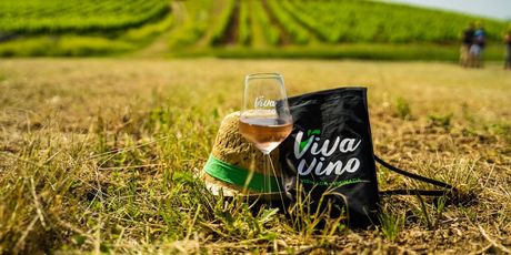 Viva Vino Vižinada - 6
