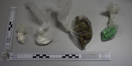 Policija u Novom Zagrebu našla razne vrste droga - 5