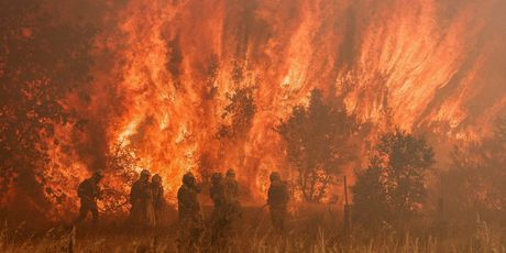 Šumski požari u Španjolskoj