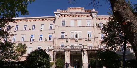 Nova metoda za prevenciju periferne neuroterapije - 2