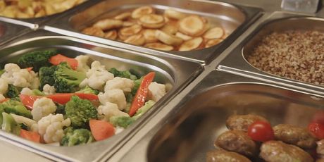 Zdravlje Hrvata, ilustracija - 1