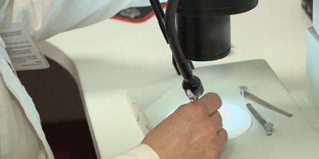 Lajmska bolest, ilustracija - 1