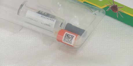 Lajmska bolest, ilustracija - 2