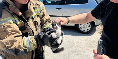 Vatrogasci spasili mačića